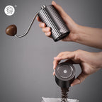 Molino Z3 Pro